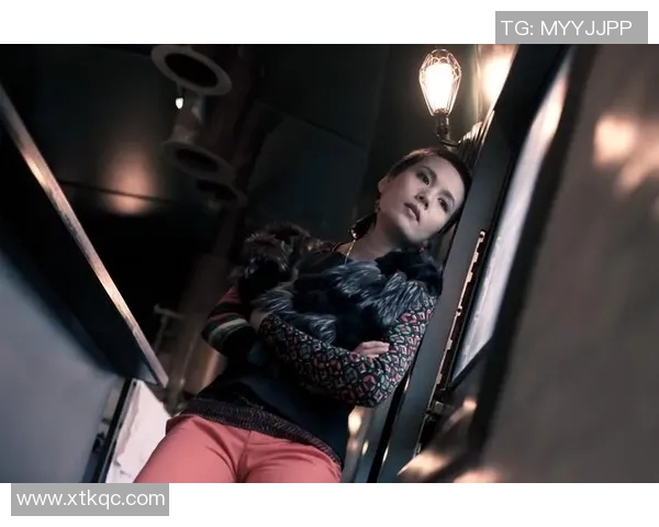 羽毛球场上的追梦旅程：陈丽的职业生涯与心路历程分享