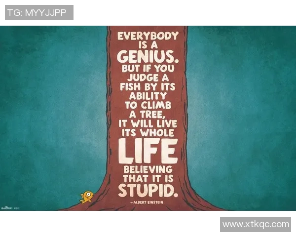 足球明星门帘设计灵感分享精美图片展示与创意搭配技巧